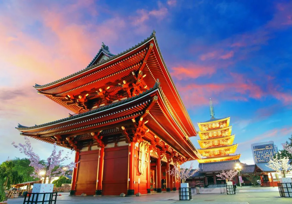 Tokyo in 5 Days Modern and Traditional Tour