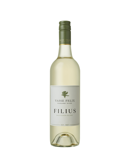 2025 Filius Sauvignon Blanc