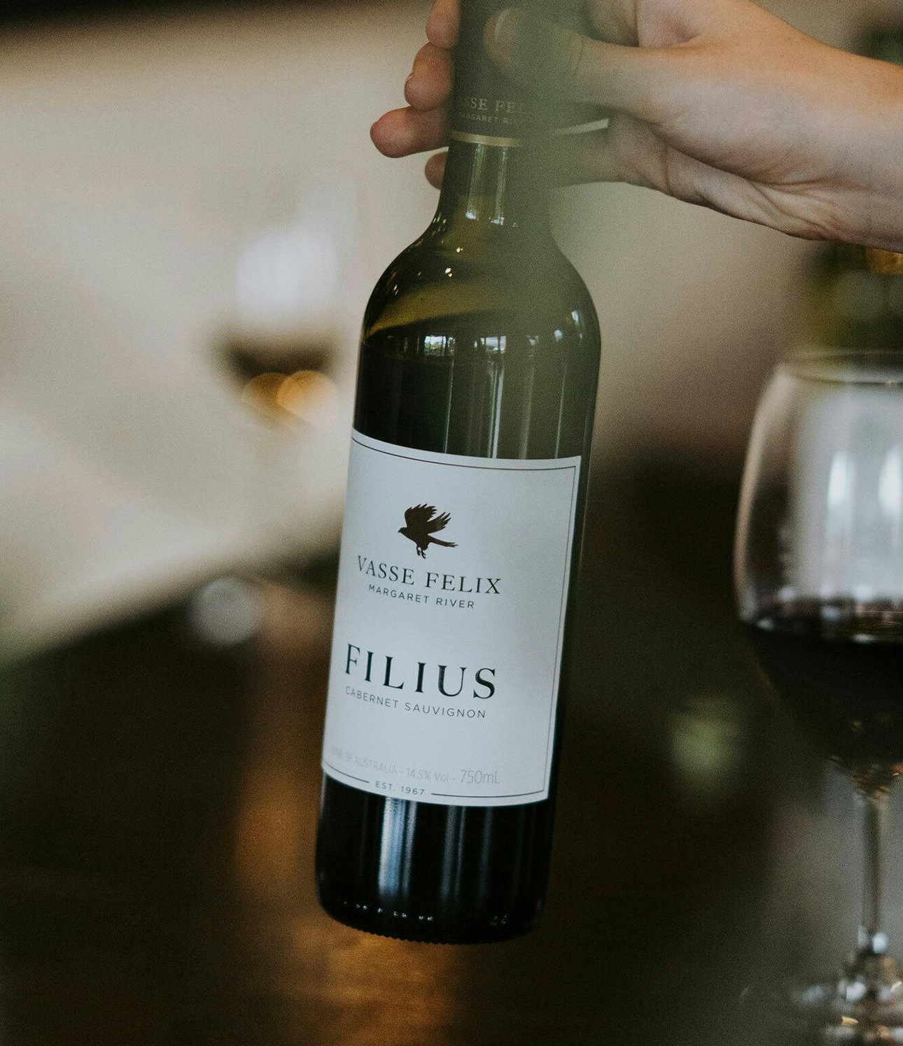 2023 Filius Cabernet Sauvignon - Image 2