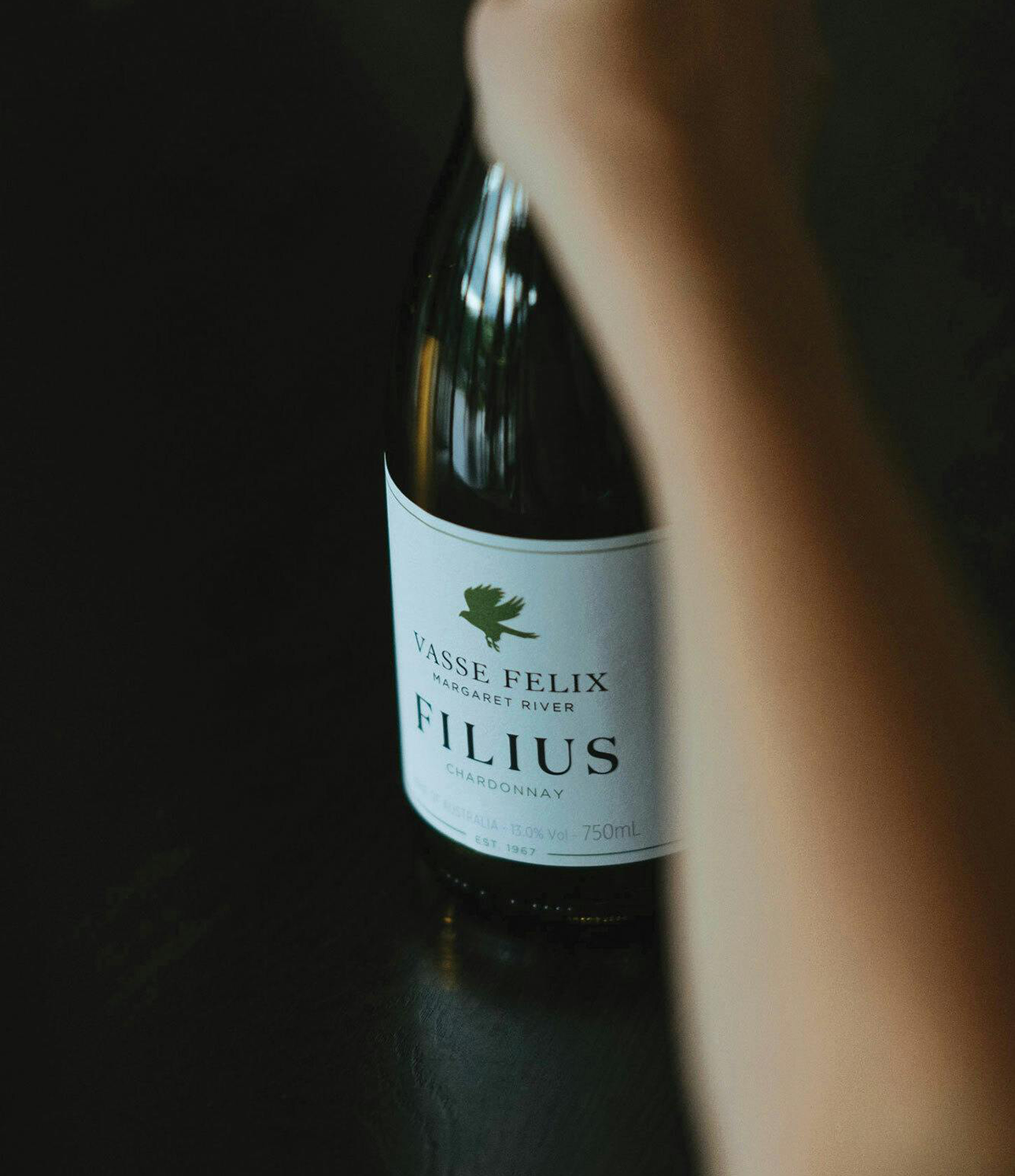 2024 Filius Chardonnay - Image 2